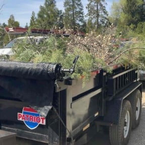 Leaf Removal by George’s lawn services reviewed on October 19, 2024