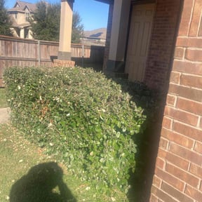 Bush Trimming by Garden Lawn Care reviewed on May 28, 2022