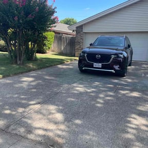 Bush Trimming by Schuetz Landscaping Services reviewed on October 21, 2022