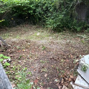 Cleanups by Thompson's lawn care & specialist reviewed on October 1, 2020