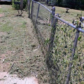Leaf Removal by Ozzys lawn care reviewed on November 21, 2021