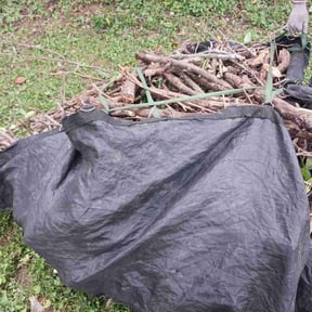 Cleanups by JLS Lawn Care reviewed on June 19, 2020