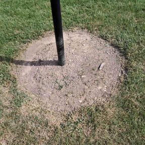 Flower Bed Weeding by Anointed Services reviewed on March 23, 2025