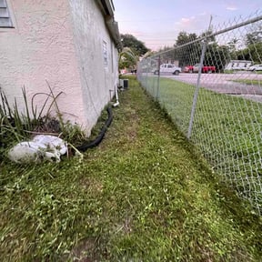 Cleanups by Austin Way reviewed on October 30, 2022