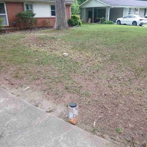 Leaf Removal by Family Lawn Care reviewed on July 6, 2020