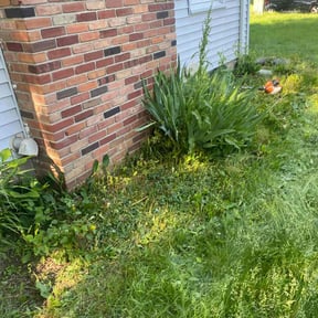 Leaf Removal by WestSide Landscaping reviewed on June 13, 2025