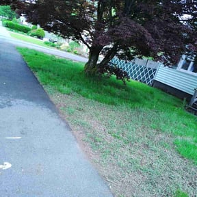 Leaf Removal by Sons bros and I lawn service reviewed on May 13, 2022