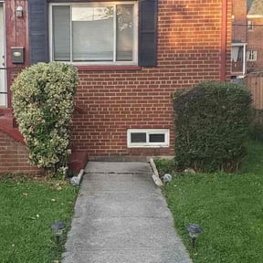 Bush Trimming by HQ Lawn Service reviewed on June 18, 2025