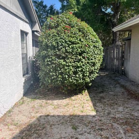 Bush Trimming by Integrity Lawn Care reviewed on October 2, 2021