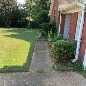 Bush Trimming by MJ Lawncare Solutions reviewed on April 28, 2025