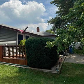 Bush Trimming by Aidens Construction reviewed on May 8, 2022
