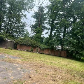 Leaf Removal by Northside lawn Care reviewed on April 24, 2022