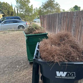 Leaf Removal by Forever Green FG LLC reviewed on September 22, 2024