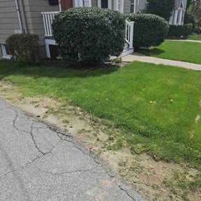 Cleanups by Beardall's Lawn Care reviewed on June 16, 2022