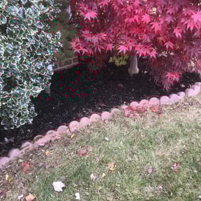 Mulching by Wegotucovered reviewed on August 23, 2021