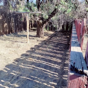 Cleanups by P.vhandyman & painting services reviewed on July 6, 2025