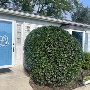 Bush Trimming by Curb Appeal Lawn and Landscape Services reviewed on June 4, 2025