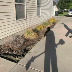 Flower Bed Weeding by Big D's reviewed on August 23, 2024