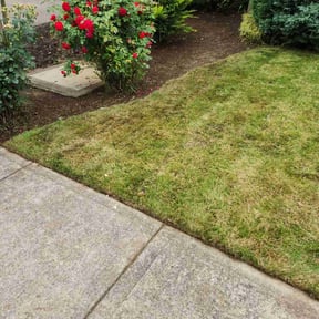 Flower Bed Weeding by Waters Landscaping reviewed on June 27, 2022