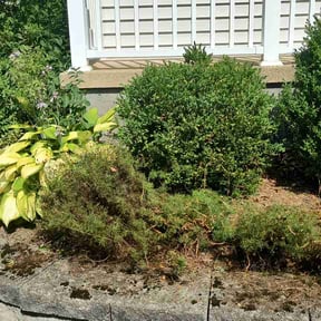 Flower Bed Weeding by 216BeamKing reviewed on October 21, 2022