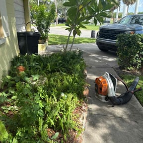 Bush Trimming by Brent Walters reviewed on May 15, 2025