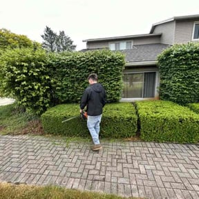 Bush Trimming by Kyle Yacko reviewed on June 16, 2025