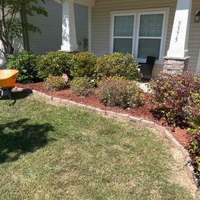 Mulching by Cutting up Lawn and Tree Care reviewed on June 10, 2021