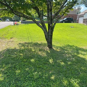 Cleanups by Persevere Complete Lawn Care reviewed on June 25, 2021