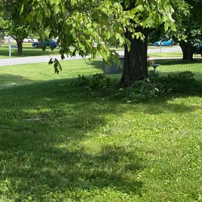 Bush Trimming by Lemons Lawn Care reviewed on June 30, 2022
