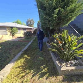 Weeding by Seasons Property Maintenance reviewed on November 3, 2023