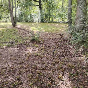 Cleanups by Precision Lawn Maintenance Services reviewed on June 17, 2022