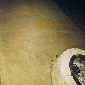 Cleanups by YardGoat Mowing reviewed on March 27, 2022