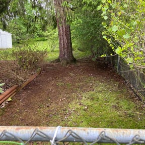 Leaf Removal by Eusons Property Renovations reviewed on August 5, 2022