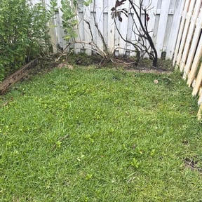 Leaf Removal by ShiftChange LLC Lawn Service reviewed on November 2, 2021