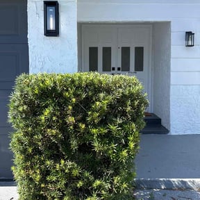Bush Trimming by Long Lasting Lawn Care reviewed on April 14, 2022