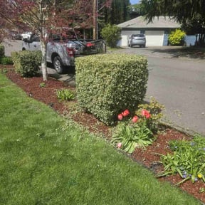 Bush Trimming by Top Notch Lawn Care & Landscaping reviewed on May 17, 2022
