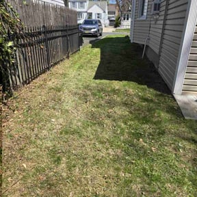Leaf Removal by Hensley Property Management reviewed on August 11, 2021
