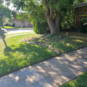 Cleanups by D&N Anointed Services reviewed on May 19, 2022