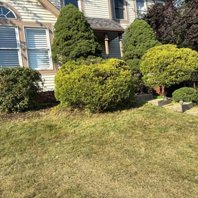 Bush Trimming by Fully Loaded LLC reviewed on July 11, 2025