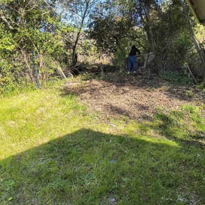 Cleanups by Paramount Professional Services reviewed on April 13, 2022