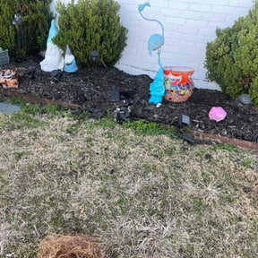 Flower Bed Weeding by A Handyman and Mowing Company reviewed on July 20, 2020