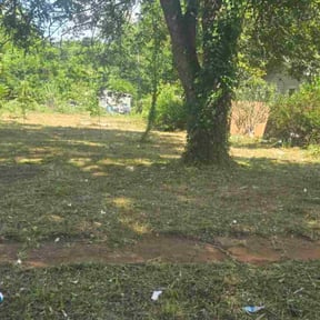 Cleanups by Imperial Lawn Care reviewed on December 20, 2023
