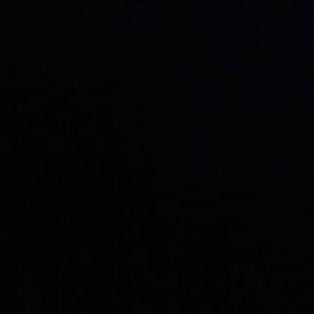 Bush Trimming by Osborn lawn services reviewed on December 23, 2024