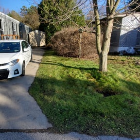 Leaf Removal by Can’t Stop Won’t Stop Lawn Care reviewed on July 6, 2025