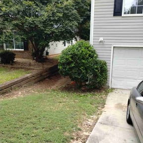 Bush Trimming by Chek'Rd Lawn Service reviewed on October 25, 2022