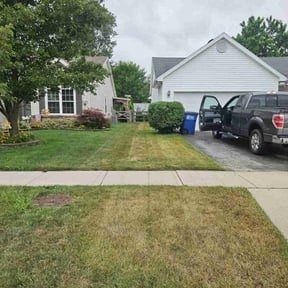 Bush Trimming by Lagger Properties reviewed on October 10, 2022