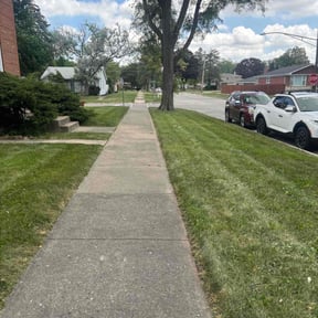 Cleanups by 662 Grass Monkey Lawn SVC reviewed on March 28, 2022
