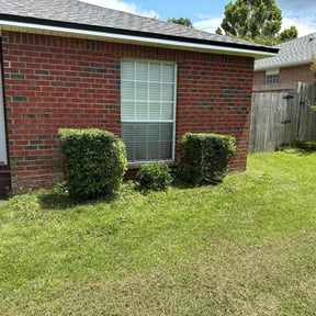 Bush Trimming by Oak Landscaping reviewed on December 11, 2021