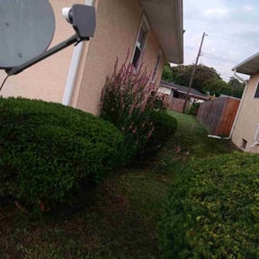 Bush Trimming by MJ'S Lawn service reviewed on September 15, 2024