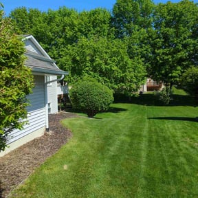 Bush Trimming by Improved lawns reviewed on May 5, 2022